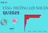 Tăng trưởng lợi nhuận 'khủng' nhất Q1/2025: Đứng đầu là 2 công ty BĐS tăng trên 10.000%, 2 công ty ô tô tăng trên 2.000%
