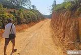 Chủ rừng kiến nghị cho tiếp tục khai thác gần 40ha rừng không hồ sơ pháp lý ở Huế