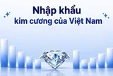 PNJ mua kim cương từ Hong Kong và Thái Lan: Cục Hải quan hé lộ quy mô nhập khẩu kim cương của Việt Nam