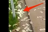 Phát hiện gần 16 tỷ đồng tiền mặt rơi vương vãi trên đường cao tốc
