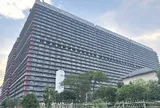 “Chung cư” nuôi lợn cao nhất thế giới của Trung Quốc gây ra điều bất thường, người dân “mua thịt rẻ hơn mua rau”