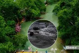 Vụ nước sông chuyển màu đen, hôi tanh 5km: Chính quyền đề nghị công an vào cuộc