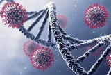 Các nhà khoa học tạo ra virus bằng AI