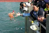 Vì sao chính quyền Thượng Hải, Trung Quốc trả tiền cho người hải táng?