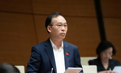 Cần xây dựng ứng dụng để người dân phản ánh tình trạng cây xanh ven đường