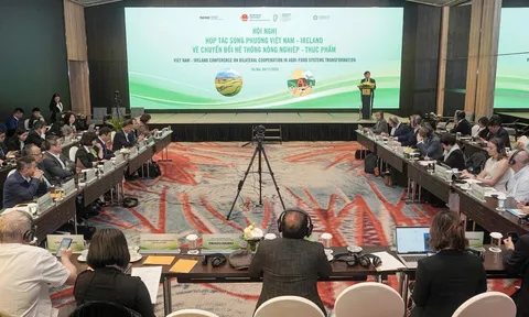 Việt Nam - Ireland tăng cường hợp tác chuyển đổi hệ thống nông nghiệp và thực phẩm