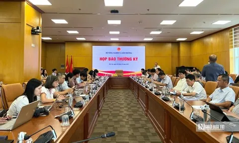 Kim ngạch xuất khẩu nông lâm thủy sản 9 tháng đầu năm đạt 52,31 tỷ USD