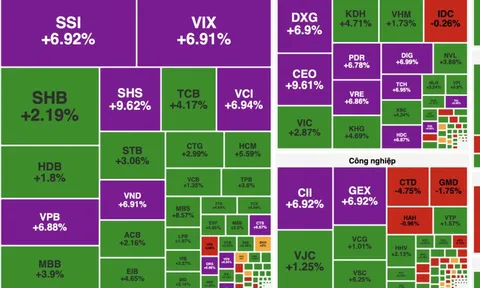 Chứng khoán thăng hoa, sắc xanh tím phủ rộng toàn thị trường
