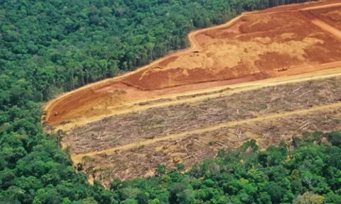 Nghiên cứu mới gây sốc: Hơn nửa triệu ca tử vong trong vòng 20 năm qua vì một vấn nạn quen thuộc