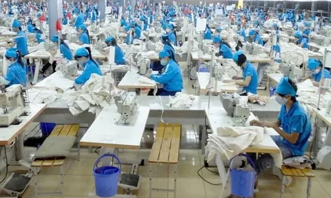 Gilimex trình cổ đông nội dung liên quan vụ kiện Amazon