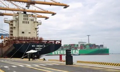 Mất lợi thế vì phải di dời cảng, "lão tướng" ngành cảng biển lấy lại ngôi vương nhờ dự án 4.200 tỷ đồng