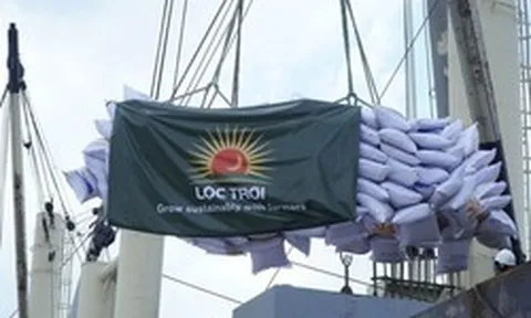 Loạt doanh nghiệp đình đám một thời bị mất tư cách công ty đại chúng