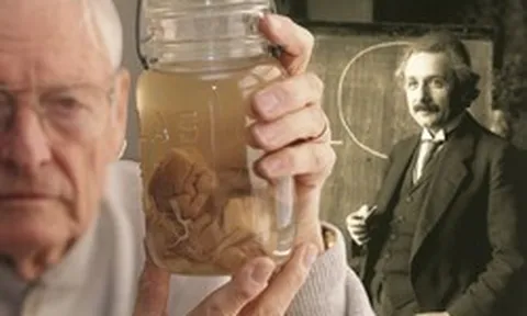 Chuyện gì đã xảy ra với bộ não thiên tài của Albert Einstein sau khi ông qua đời?