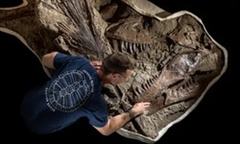 Khai quật dấu vết cực hiếm của khủng long T. rex sau 66 triệu năm