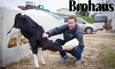 Trại bò của Mark Zuckerberg