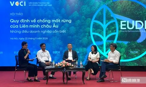 Từ vùng nguyên liệu đến thị trường EU: Bài toán truy xuất của doanh nghiệp Việt
