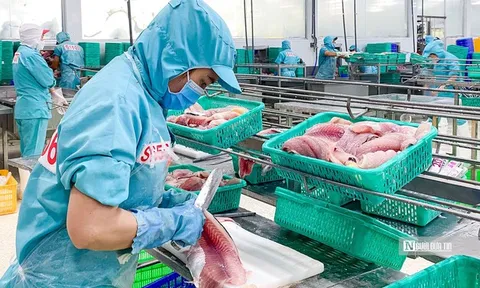 VASEP chỉ ra những “nút thắt” về thuế gây khó cho doanh nghiệp thủy sản