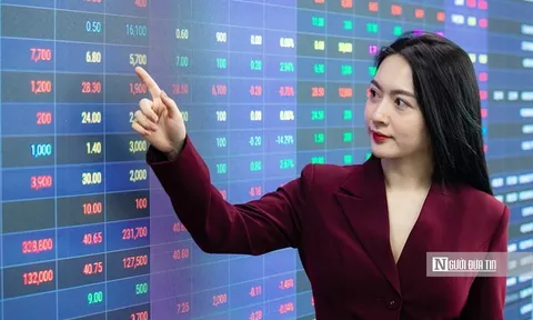 VN-Index nỗ lực hồi phục, chuyên gia mách nước nhóm ngành "gánh sóng" cuối năm