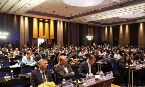 Bàn giải pháp phát triển kinh tế, thương mại trong kỷ nguyên mới