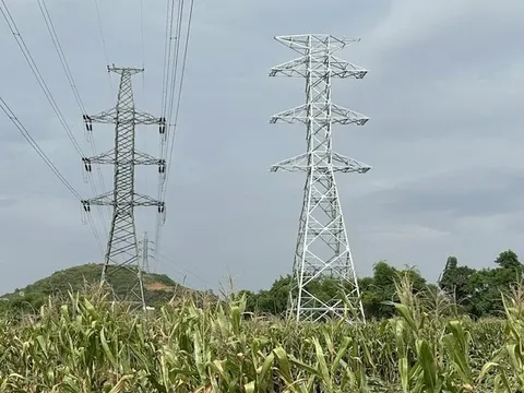 Đẩy nhanh tiến độ cụm dự án truyền tải điện phục vụ nhập khẩu điện từ Lào