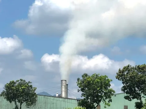 Khói trắng bủa vây khu dân cư, người dân đề nghị quan trắc độc lập nhà máy gỗ