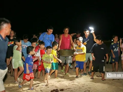 Về nơi "dựng nhà, đỡ đẻ" cho rùa biển